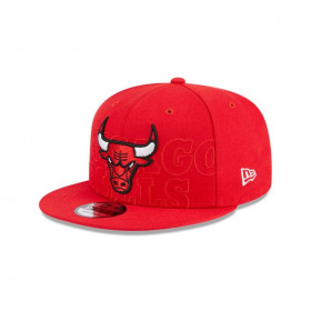Gorra Chicago Bulls NBA 9Fifty Red