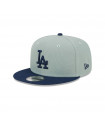Gorra Los Angeles Dodgers MLB 9Fifty Green Pastel