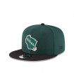 Gorro Milwaukee Bucks NBA 9Fifty Dark Green