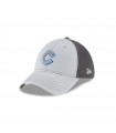 Gorra Chicago Cubs MLB 39Thirty Gray Dark